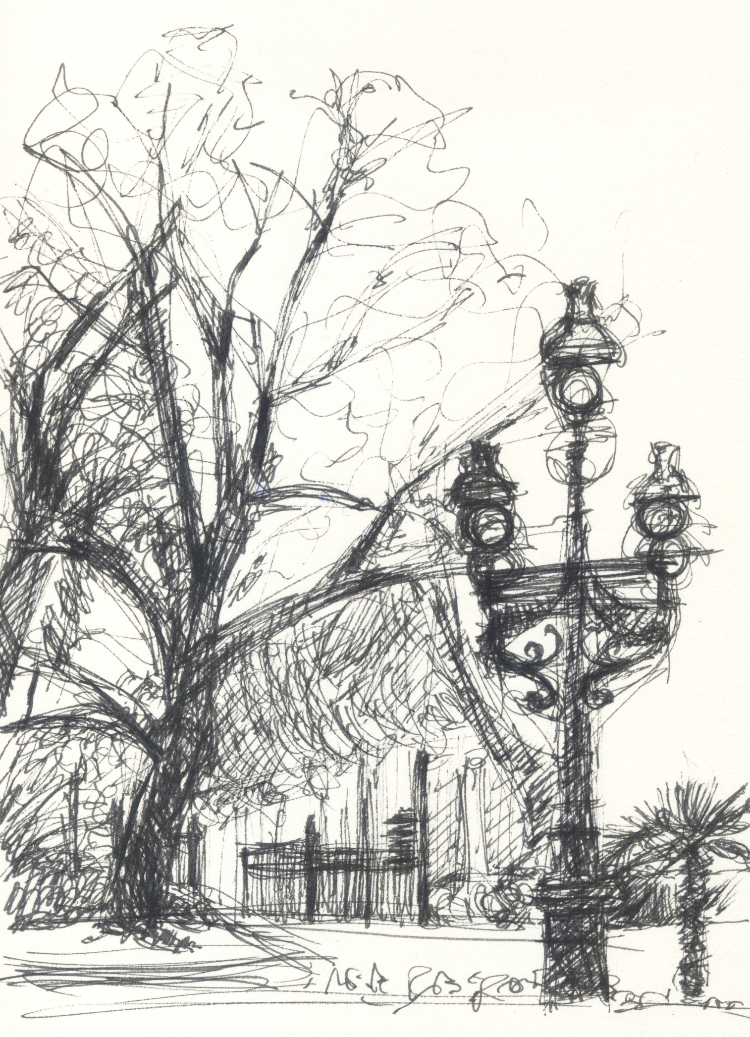 Jardin des plantes 2