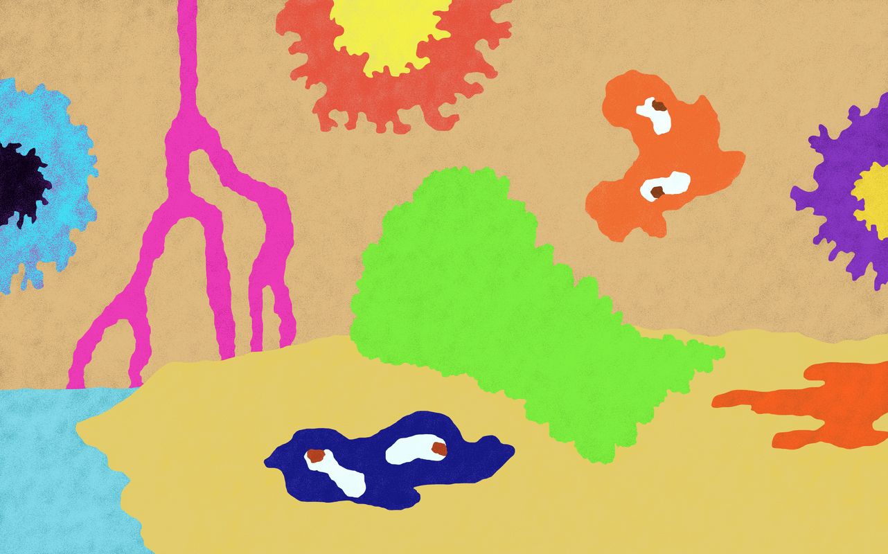 La Grotte des mystères 10