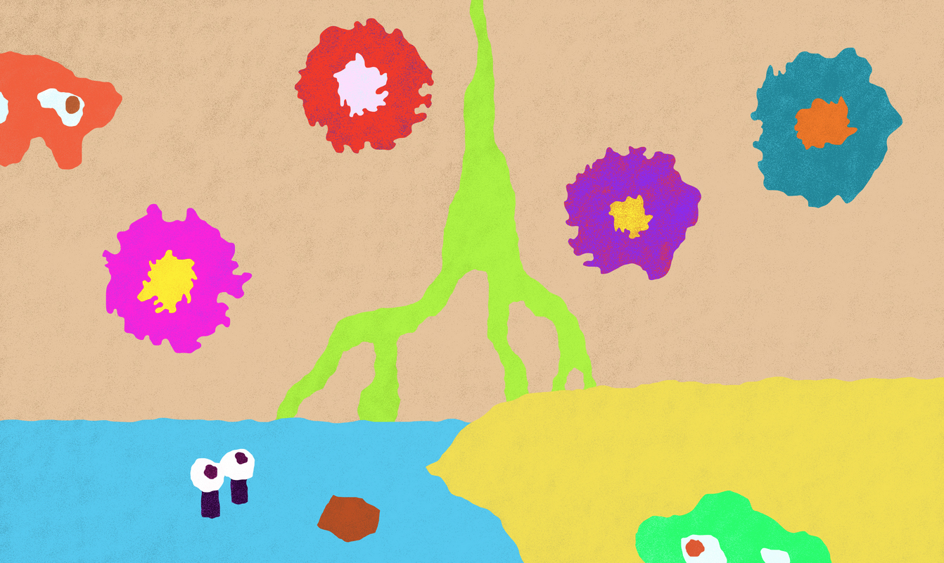 La Grotte des mystères 9